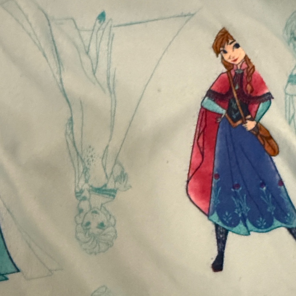 Bundle of Cozy Girls Nightgowns - Bluey and Frozen Anna and Elsa! Today only! - Picture 13 of 15